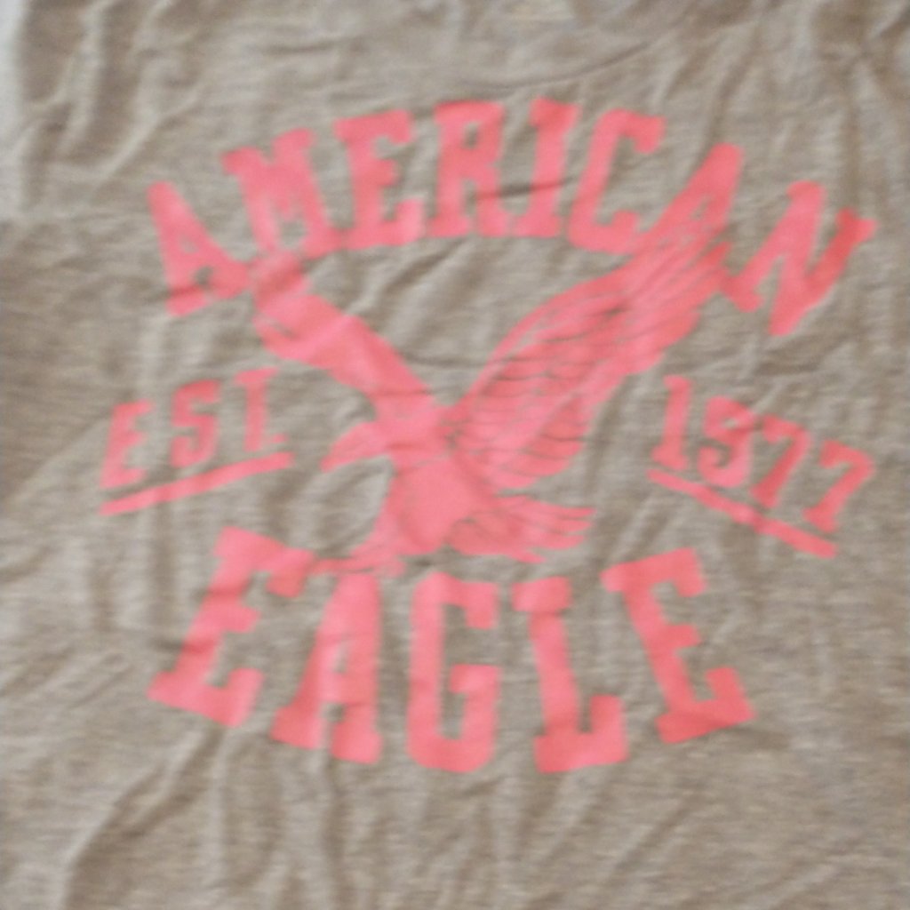 American Eagle Tee...... Euc